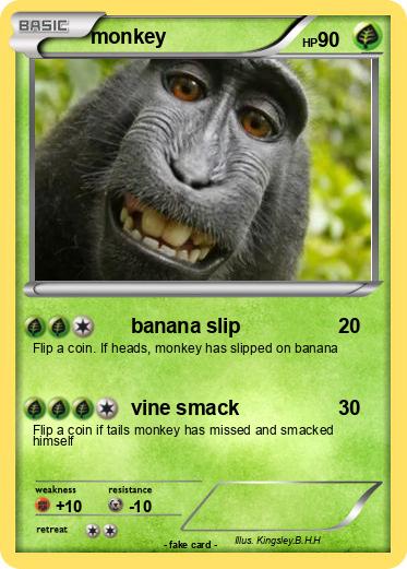 Pokemon monkey
