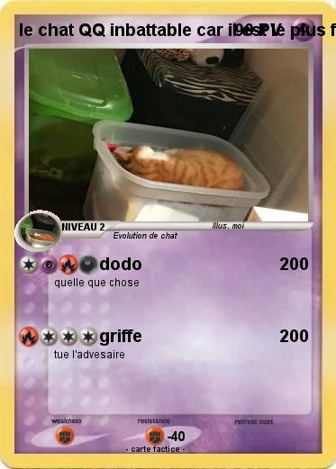 Pokemon le chat QQ inbattable car il est le plus fort de tout l'univer