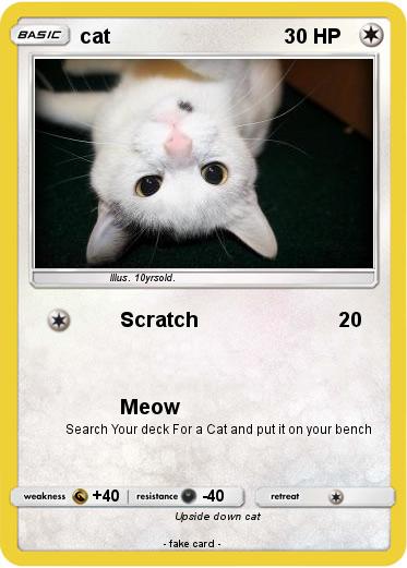 Pokemon cat