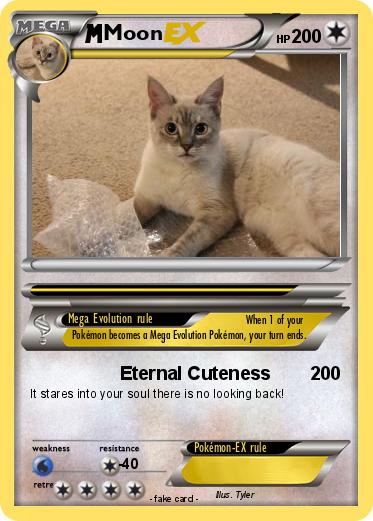 Pokemon Moon
