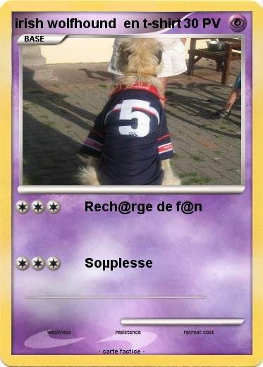 Pokemon irish wolfhound  en t-shirt