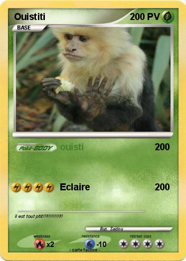 Pokemon Ouistiti