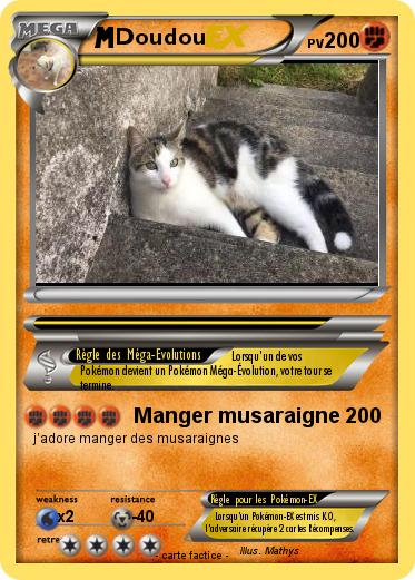 Pokemon Doudou