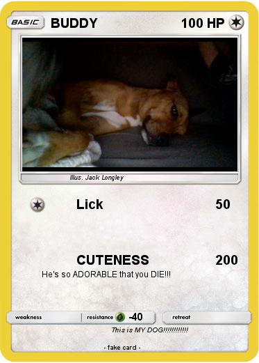 Pokemon BUDDY