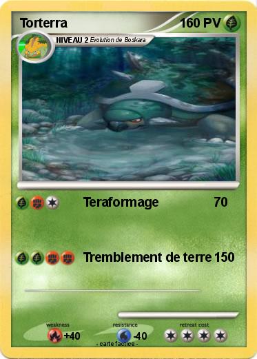 Pokemon Torterra