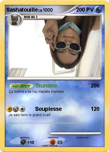 Pokemon Sashatouille