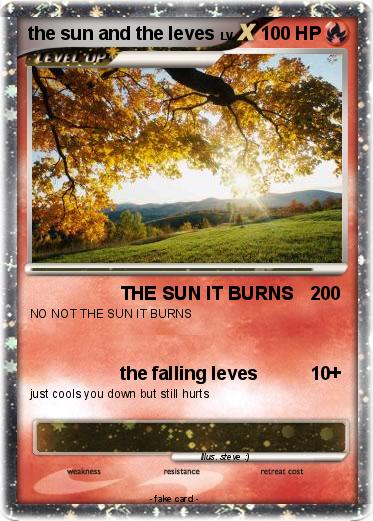 Pokemon the sun and the leves