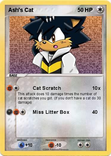 Pokemon Ash's Cat