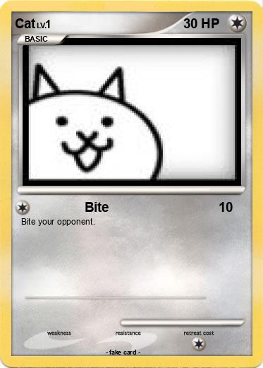 Pokemon Cat
