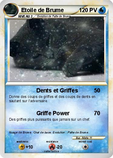 Pokemon Etoile de Brume