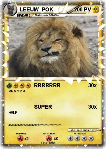 Pokemon LEEUW  POK