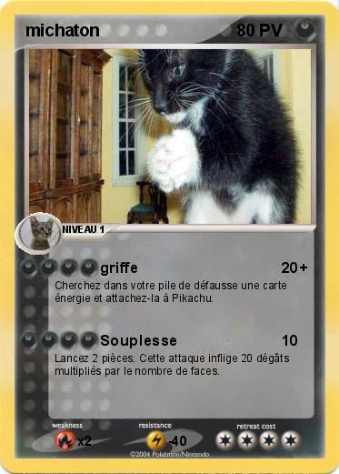 Pokemon michaton