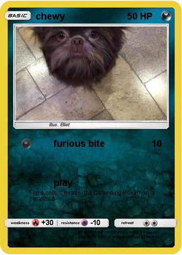 Pokemon chewy