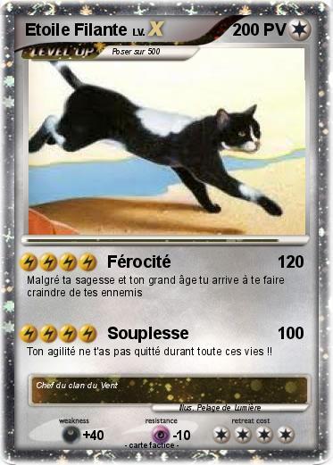 Pokemon Etoile Filante