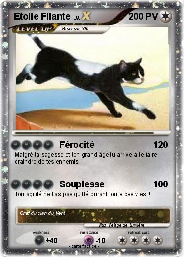 Pokemon Etoile Filante