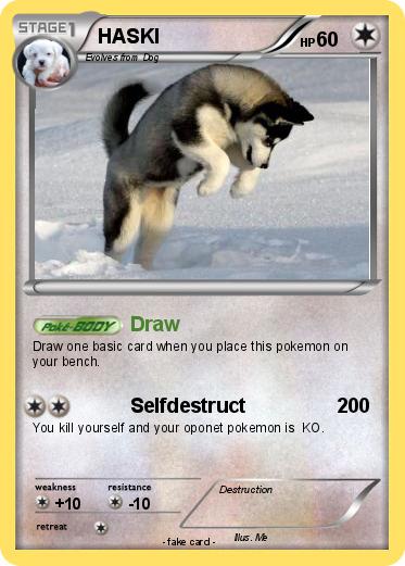 Pokemon HASKI