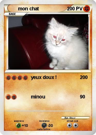 Pokemon mon chat