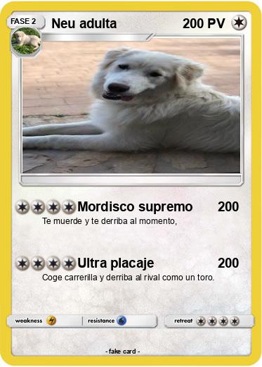 Pokemon Neu adulta