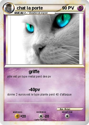Pokemon chat la porte