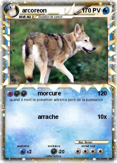 Pokemon arcoreon