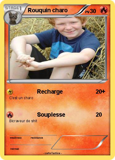 Pokemon Rouquin charo