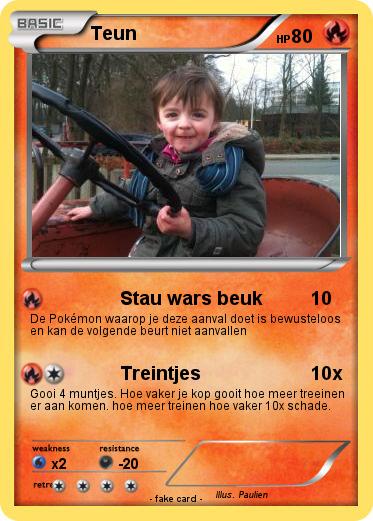 Pokemon Teun