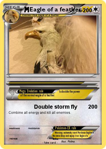 Pokemon Eagle of a feather
