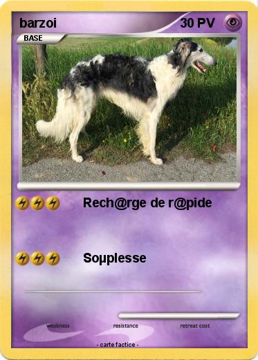 Pokemon barzoi