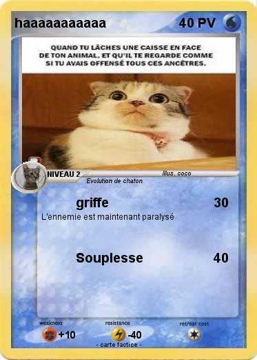 Pokemon haaaaaaaaaaa