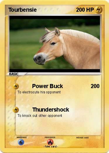 Pokemon Tourbensie