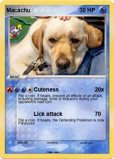 Pokemon Macachu