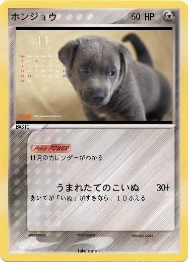 Pokemon ホンジョウ