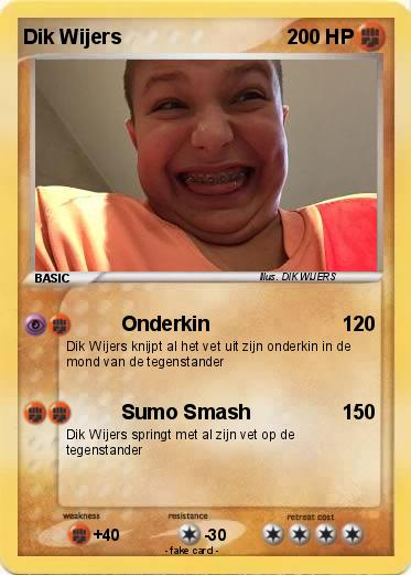 Pokemon Dik Wijers