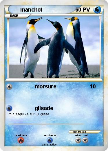 Pokemon manchot