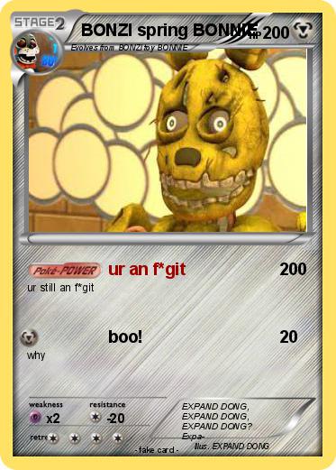 Pokemon BONZI spring BONNIE