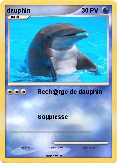 Pokemon dauphin