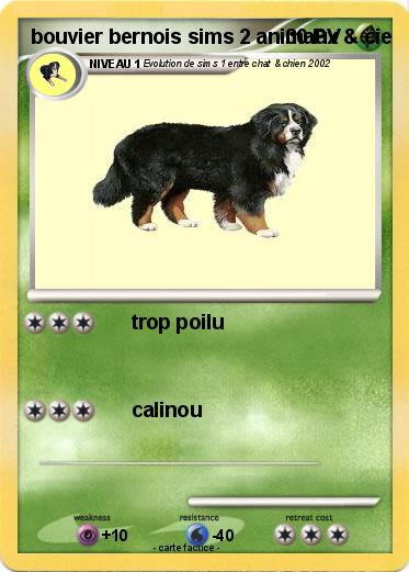 Pokemon bouvier bernois sims 2 animaux & cie