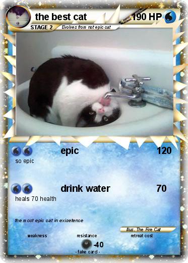 Pokemon the best cat