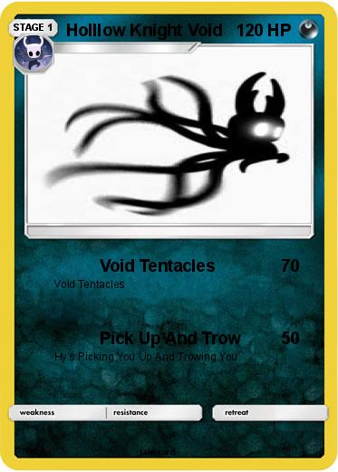Pokemon Holllow Knight Void