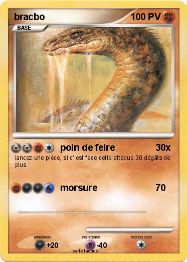 Pokemon bracbo