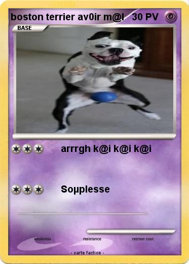 Pokemon boston terrier av0ir m@l