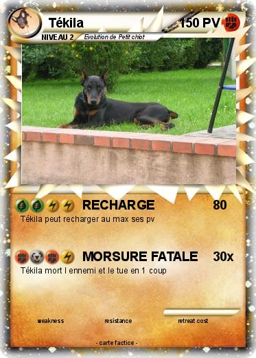 Pokemon Tékila