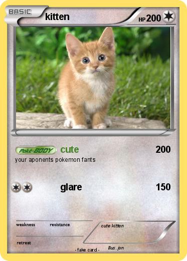 Pokemon kitten