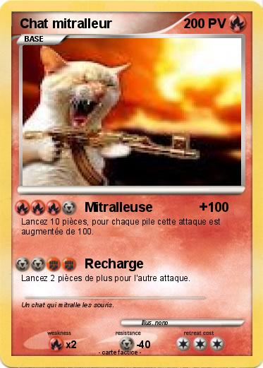 Pokemon Chat mitralleur
