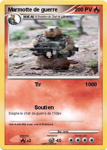 Pokemon Marmotte de guerre