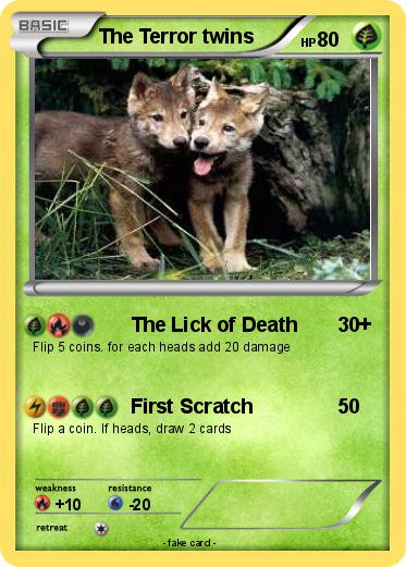 Pokemon The Terror twins