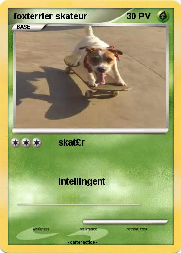 Pokemon foxterrier skateur