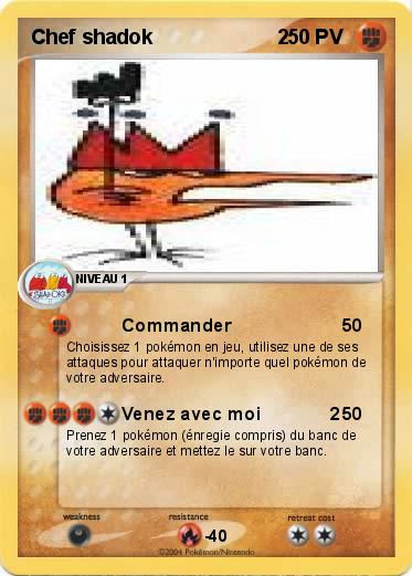 Pokemon Chef shadok                      2
