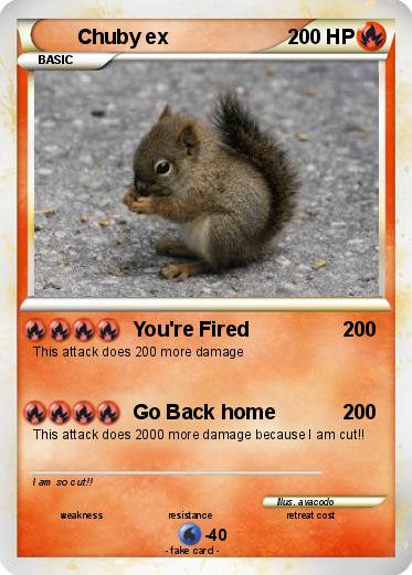 Pokemon Chuby ex