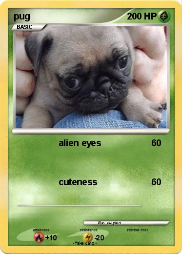 Pokemon pug